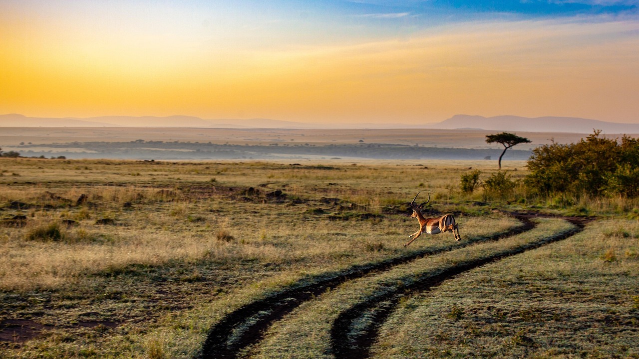 découvrez l'écotourisme durable, une approche responsable qui vous permet d'explorer des destinations magnifiques tout en protégeant l'environnement et en soutenant les communautés locales. vivez des expériences authentiques et respectueuses de la nature.