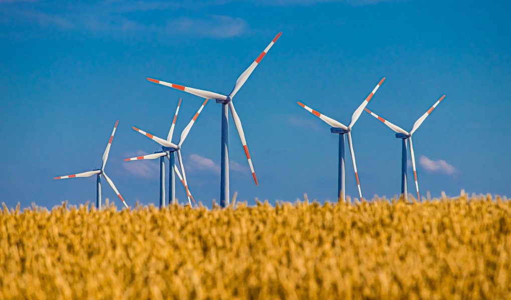 découvrez notre circuit durable qui allie aventure et respect de l'environnement. explorez des paysages époustouflants tout en soutenant des pratiques écoresponsables et en découvrant la biodiversité locale.