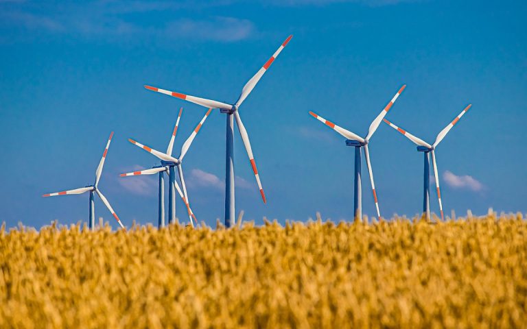 découvrez notre circuit durable qui allie aventure et respect de l'environnement. explorez des paysages époustouflants tout en soutenant des pratiques écoresponsables et en découvrant la biodiversité locale.