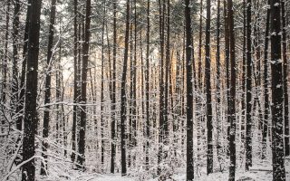 découvrez des trésors cachés à travers le monde. explorez des lieux inconnus, des activités insolites et des expériences authentiques qui sortent des sentiers battus. parfait pour les aventuriers en quête de nouveauté!