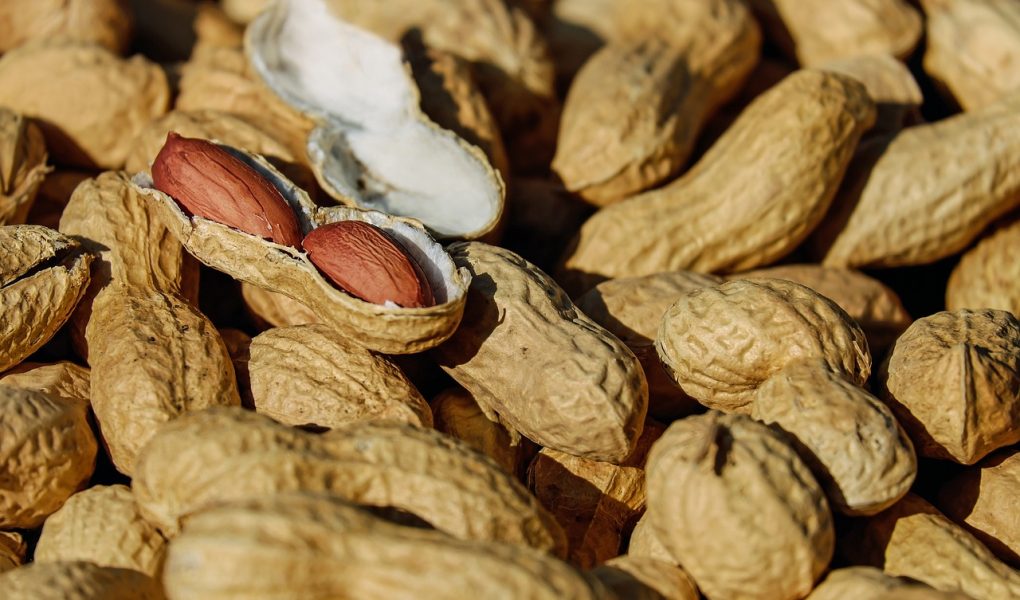 découvrez l'art de la cuisine avec nos recettes savoureuses, astuces pratiques et conseils de chefs pour régaler vos proches et explorer de nouvelles saveurs. que vous soyez débutant ou cuisinier aguerri, notre plateforme vous accompagne dans toutes vos créations culinaires.