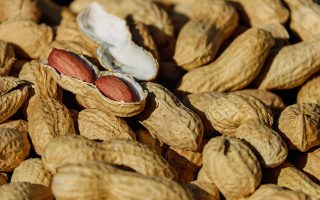 découvrez l'art de la cuisine avec nos recettes savoureuses, astuces pratiques et conseils de chefs pour régaler vos proches et explorer de nouvelles saveurs. que vous soyez débutant ou cuisinier aguerri, notre plateforme vous accompagne dans toutes vos créations culinaires.
