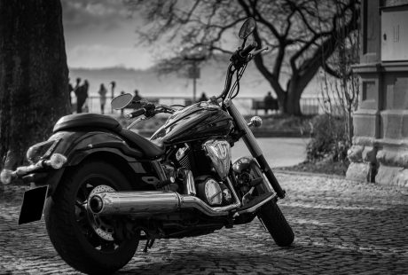 découvrez les influenceurs du voyage à vélo qui inspirent des millions d'aventuriers à travers le monde. suivez leurs péripéties, astuces et conseils pour explorer de nouvelles destinations à deux roues. rejoignez la communauté et laissez-vous emporter par la passion du cyclisme et de l'aventure!