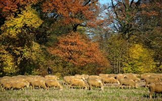 découvrez la lorraine, une région riche en patrimoine et en paysages magnifiques. explorez ses charmantes villes, savourez sa gastronomie délicieuse et laissez-vous séduire par ses traditions culturelles uniques.