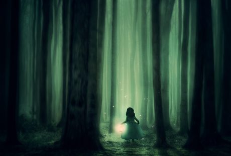 découvrez la beauté et la diversité de la nature à travers nos articles captivants. explorez les paysages, la faune et la flore qui font de notre planète un véritable joyau. plongez dans l'harmonie et la sérénité des environnements naturels, tout en apprenant comment les protéger.