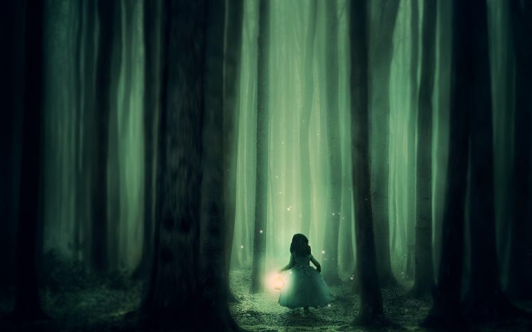 découvrez la beauté et la diversité de la nature à travers nos articles captivants. explorez les paysages, la faune et la flore qui font de notre planète un véritable joyau. plongez dans l'harmonie et la sérénité des environnements naturels, tout en apprenant comment les protéger.