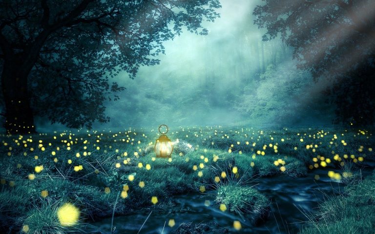découvrez les sentiers enchantés, une aventure magique au cœur de la nature. explorez des paysages époustouflants, vivez des moments uniques et laissez-vous séduire par la beauté des chemins féeriques. parfait pour les amoureux de la randonnée et les rêveurs en quête d'émerveillement.