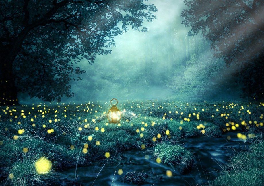 découvrez les sentiers enchantés, une aventure magique au cœur de la nature. explorez des paysages époustouflants, vivez des moments uniques et laissez-vous séduire par la beauté des chemins féeriques. parfait pour les amoureux de la randonnée et les rêveurs en quête d'émerveillement.