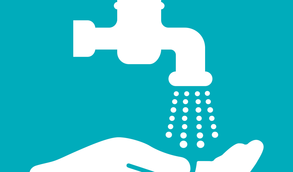 découvrez les merveilles des zones côtières, des paysages marins époustouflants aux écosystèmes riches en biodiversité. explorez les activités, la culture et la protection de ces environnements uniques qui séduisent les passionnés de nature et d'aventure.