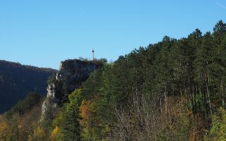 découvrez l'importance des zones protégées pour la biodiversité, la conservation des espèces et la préservation des écosystèmes. apprenez comment ces espaces naturels contribuent à la durabilité et au bien-être des générations futures.