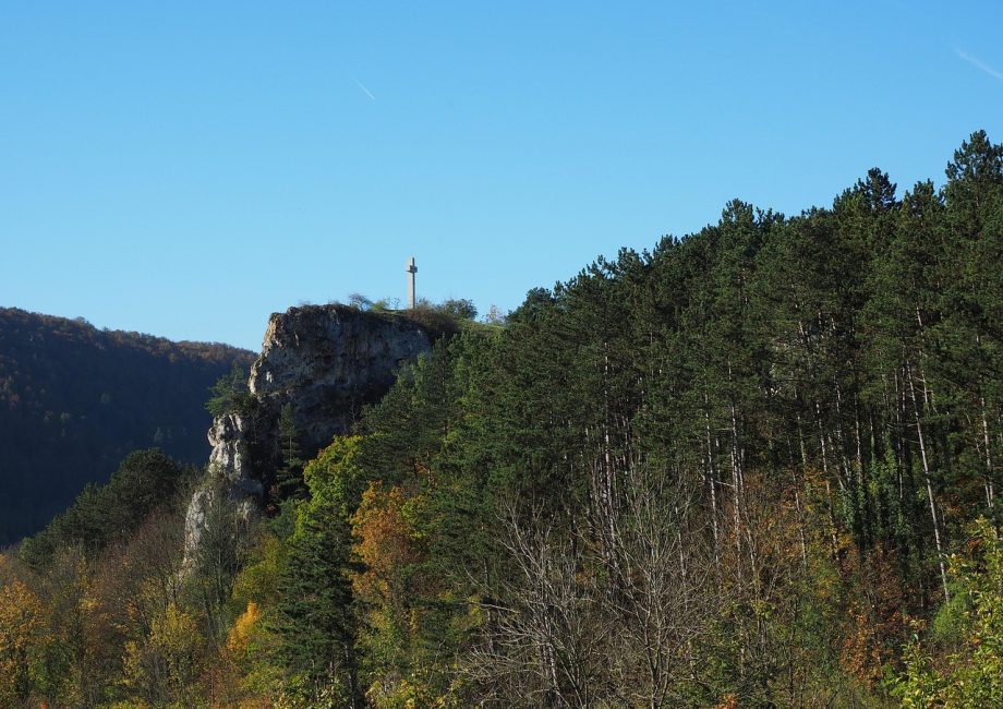 découvrez l'importance des zones protégées pour la biodiversité, la conservation des espèces et la préservation des écosystèmes. apprenez comment ces espaces naturels contribuent à la durabilité et au bien-être des générations futures.