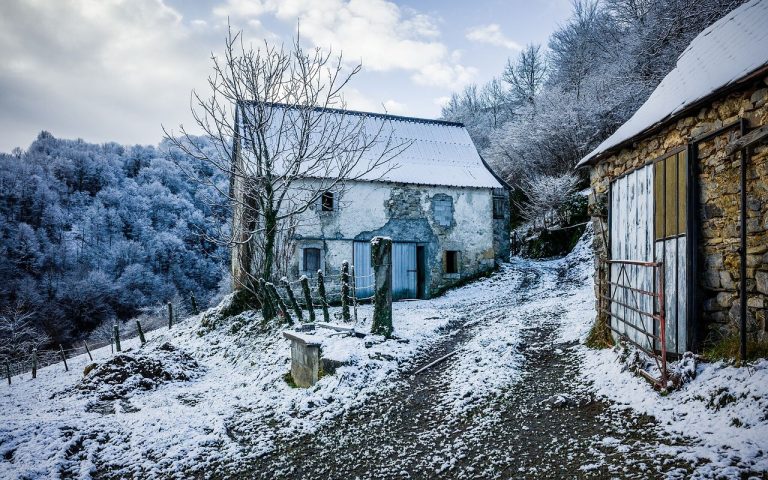 découvrez la nouvelle-aquitaine, une région riche en paysages variés, en patrimoine culturel exceptionnel et en activités de plein air. explorez ses villes dynamiques, ses vignobles renommés et ses plages de sable fin, tout en profitant d'une gastronomie savoureuse. parfaite pour les amoureux de la nature et les passionnés d'histoire, la nouvelle-aquitaine vous invite à vivre des expériences uniques.