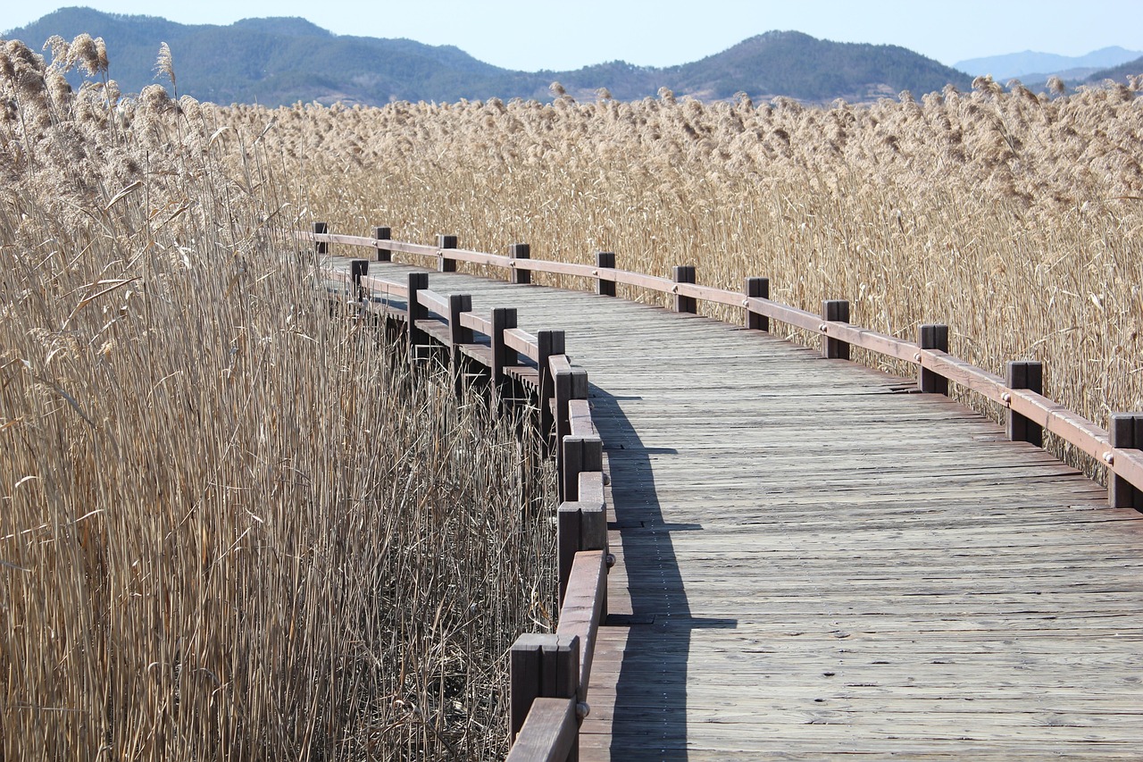 découvrez des méthodes naturelles pour améliorer votre bien-être au quotidien. apprenez à optimiser votre santé et votre environnement avec des solutions durables et respectueuses de la nature.