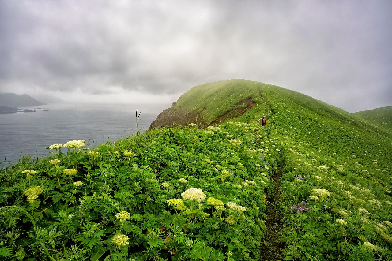 découvrez la beauté de la nature à travers ses paysages époustouflants, sa faune diversifiée et ses merveilles écologiques. plongez dans un univers où chaque élément contribue à l'harmonie de notre planète.