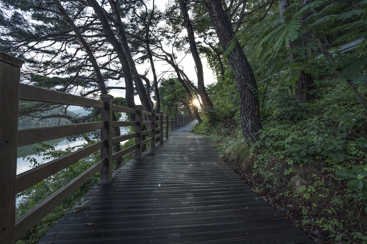 découvrez la beauté des paysages naturels avec nos balades en pleine nature. évadez-vous au cœur des forêts, des montagnes et le long des rivières, tout en vous reconnectant avec l'environnement. parfait pour les amateurs de randonnée et les passionnés de plein air.