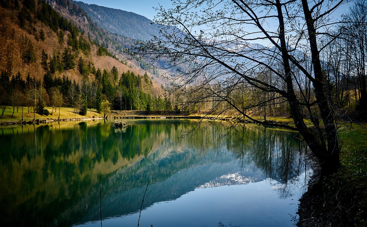découvrez l'importance des zones protégées pour la conservation de la biodiversité et la préservation des écosystèmes. explorez les différentes catégories de ces espaces naturels, leur rôle dans la lutte contre le changement climatique, et comment elles contribuent à la santé de notre planète.