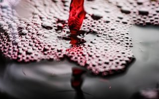 découvrez notre circuit vinicole unique : une expérience immersive à travers les meilleures caves et vignobles, alliant dégustation de vins raffinés et exploration des paysages exceptionnels. parfait pour les amateurs de vin et les chercheurs de nouvelles saveurs.