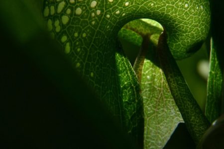 découvrez les pièges courants à éviter dans divers domaines de la vie, de la carrière aux relations personnelles, afin de naviguer plus sereinement et d'atteindre vos objectifs avec succès.