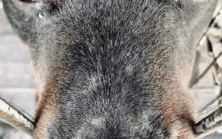 découvrez l'univers de bruno maltor, un explorateur passionné qui partage ses aventures à travers le monde. suivez ses conseils de voyage, ses découvertes culturelles et ses expériences uniques pour inspirer vos prochaines escapades.