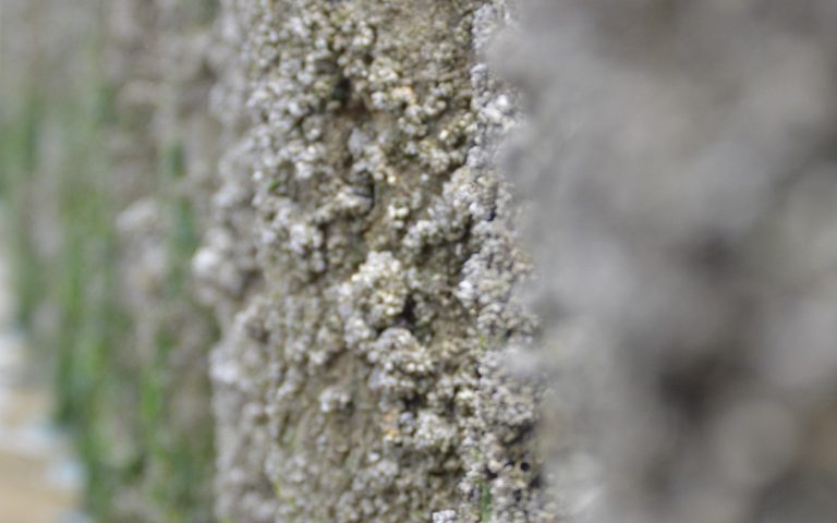 découvrez nos sentiers côtiers, où la beauté de la nature rencontre l'aventure. parcourez des paysages spectaculaires, ressentez la brise marine et profitez de moments inoubliables le long de la côte. que vous soyez randonneur débutant ou expert, nos parcours offrent des expériences adaptées à tous !