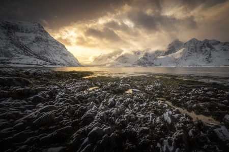 découvrez la beauté spectaculaire de la norvège, un pays aux paysages époustouflants de fjords majestueux, de montagnes imposantes et de charmants villages côtiers. plongez dans la culture norvégienne riche, explorez les aurores boréales et admirez la nature préservée qui fait de la norvège une destination incontournable pour les amoureux de la nature.