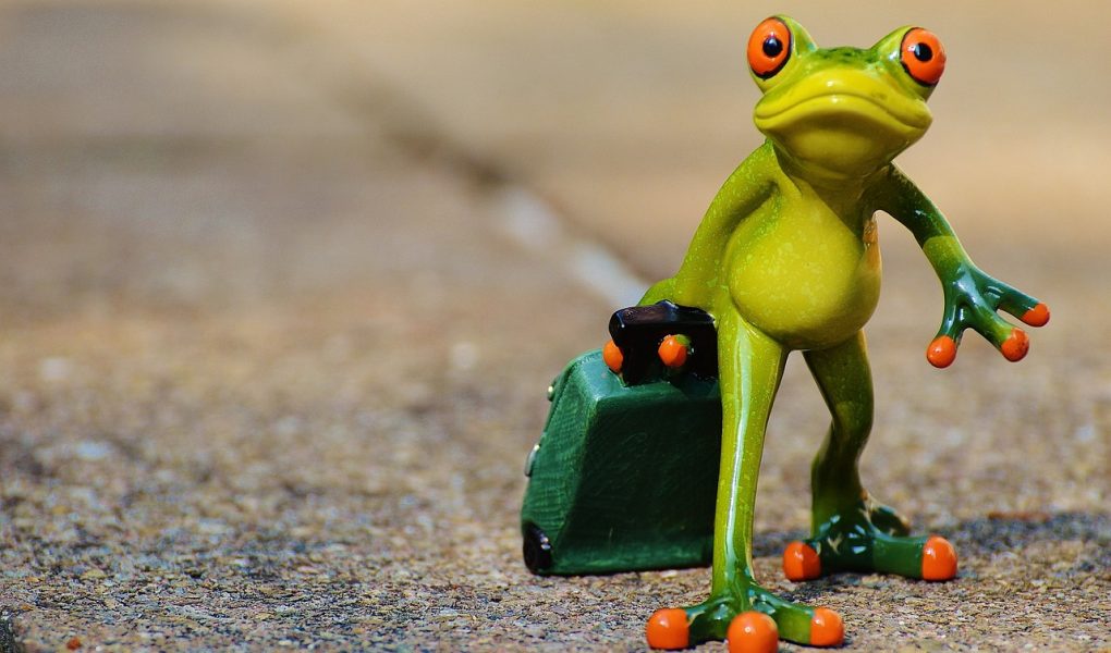 découvrez des conseils, astuces et inspirations pour voyager à travers le monde. trouvez les meilleures destinations, idées d’itinéraires et informations pratiques pour préparer vos prochains voyages en toute sérénité.