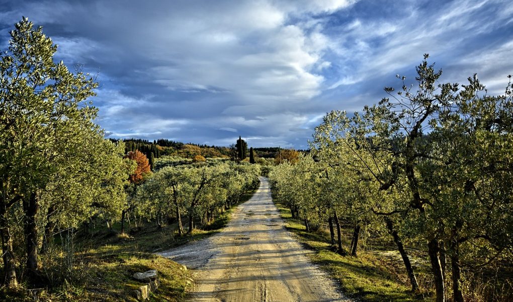 découvrez la via francigena, un itinéraire historique de pèlerinage reliant canterbury à rome à travers des paysages pittoresques, des villages authentiques et un riche patrimoine culturel. préparez votre aventure sur ce chemin légendaire !