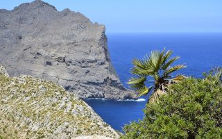 découvrez majorque, île paradisiaque des baléares : plages de rêve, villages pittoresques, cuisine locale et paysages à couper le souffle. préparez votre prochain voyage à majorque !