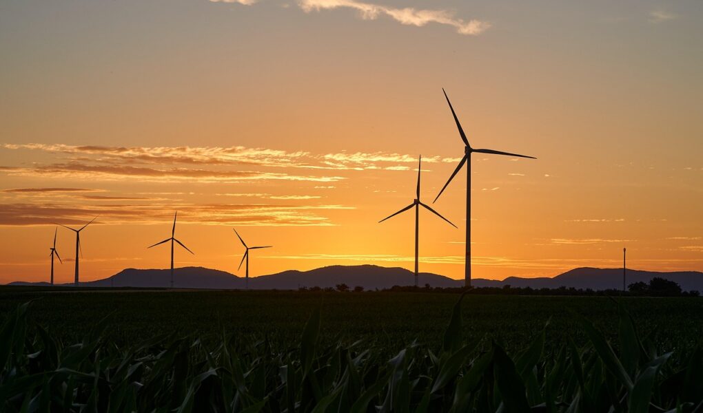 découvrez le tourisme durable : des pratiques responsables pour voyager tout en préservant l'environnement, soutenir les communautés locales et minimiser votre impact écologique. adoptez un mode de voyage éthique et respectueux de la planète !