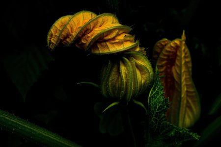 découvrez des conseils, actualités et astuces pour améliorer votre bien-être et rester en bonne santé au quotidien. profitez d'informations fiables sur la nutrition, l'exercice, les maladies et la prévention.