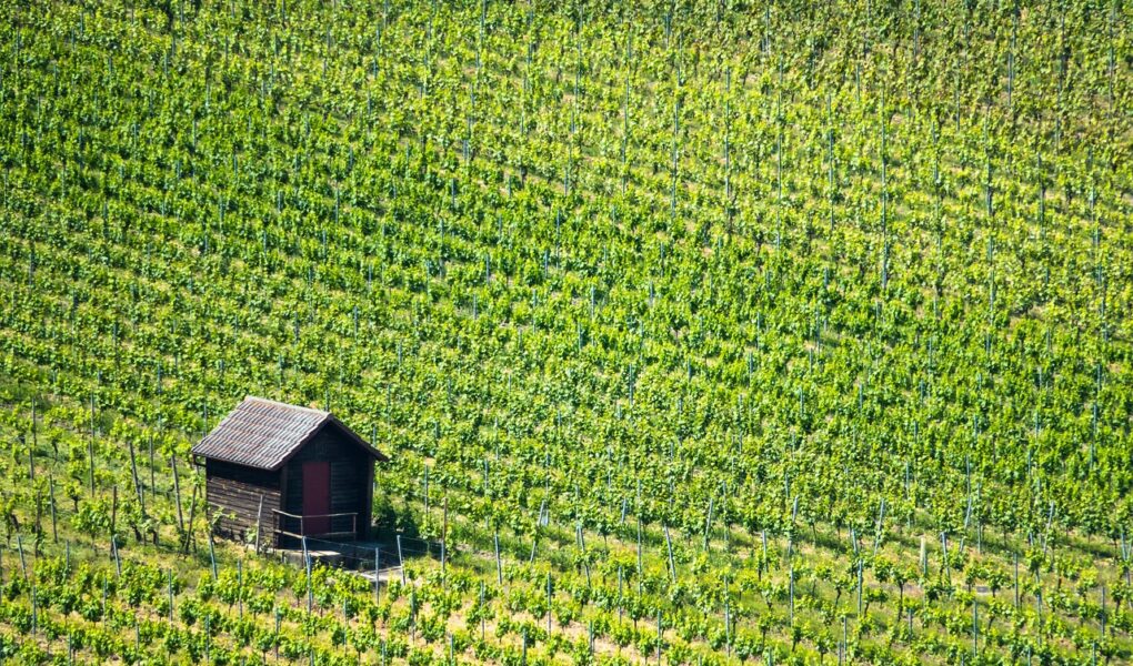 découvrez les plus beaux refuges romantiques pour une escapade inoubliable à deux, entre charme, intimité et paysages de rêve.