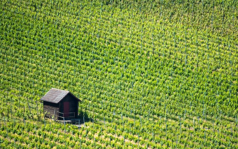 découvrez les plus beaux refuges romantiques pour une escapade inoubliable à deux, entre charme, intimité et paysages de rêve.