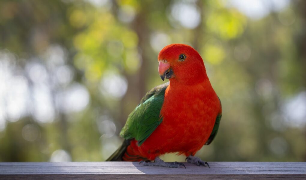 découvrez tout sur stephen king : biographie, œuvres majeures, adaptations cinématographiques, secrets d’écriture et influence de l’auteur culte du roman d’horreur et fantastique.