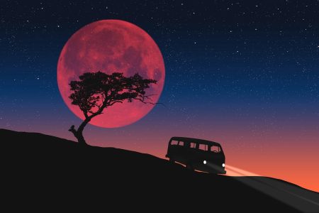 découvrez la van life : conseils, astuces et inspirations pour voyager librement sur les routes, vivre en toute autonomie et transformer chaque jour en aventure inoubliable.