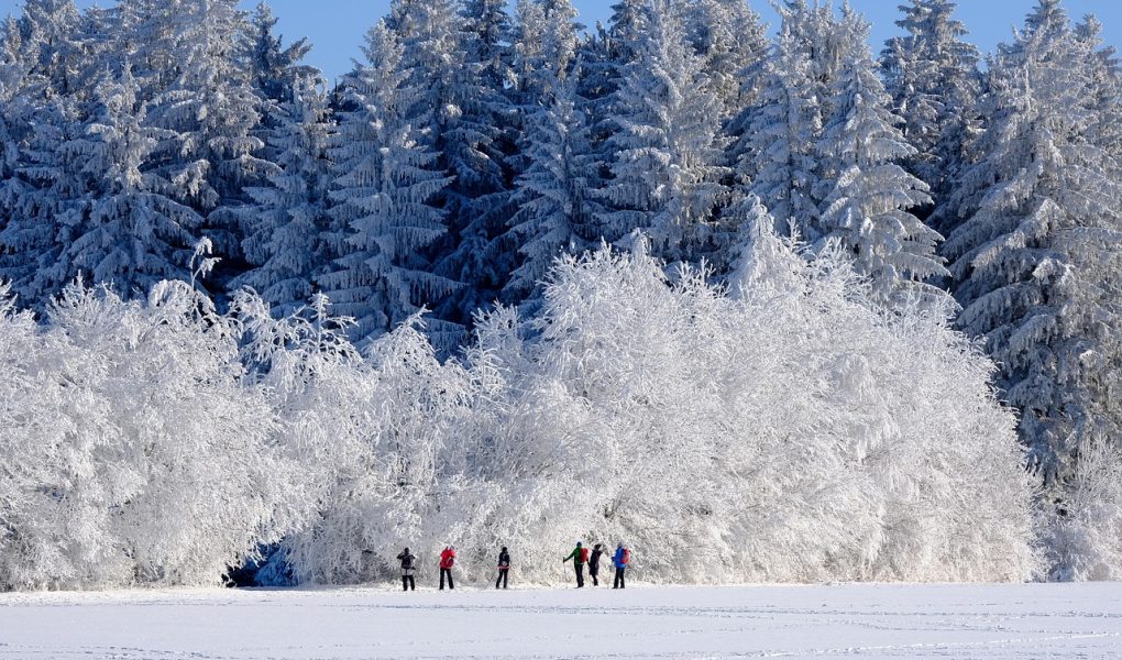 découvrez les meilleures destinations pour des escapades hivernales inoubliables. profitez d’idées de voyages, d’activités et de conseils pour un hiver magique, que vous préfériez la neige ou la douceur du soleil.