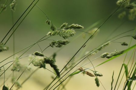 découvrez toutes les inspirations et idées pour un été inoubliable : activités, voyages, tendances et conseils pour profiter pleinement de la saison estivale.