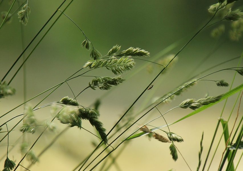 découvrez toutes les inspirations et idées pour un été inoubliable : activités, voyages, tendances et conseils pour profiter pleinement de la saison estivale.