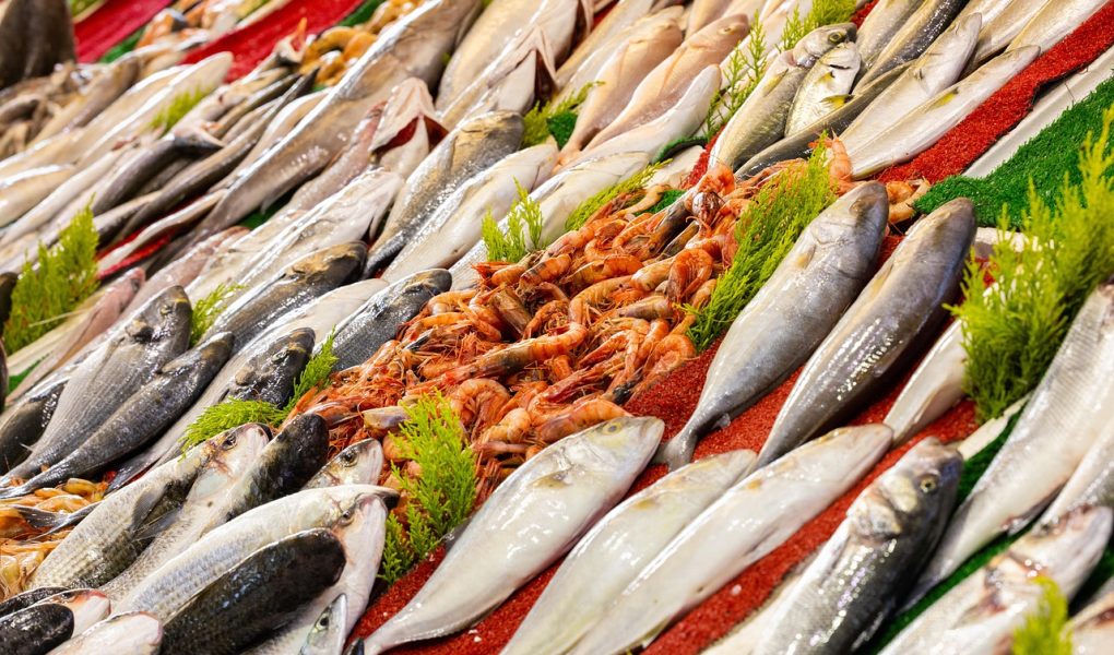 découvrez l'univers savoureux des fruits de mer : recettes, conseils de préparation et astuces pour déguster poissons, coquillages et crustacés frais. plongez dans une cuisine marine saine et gourmande !