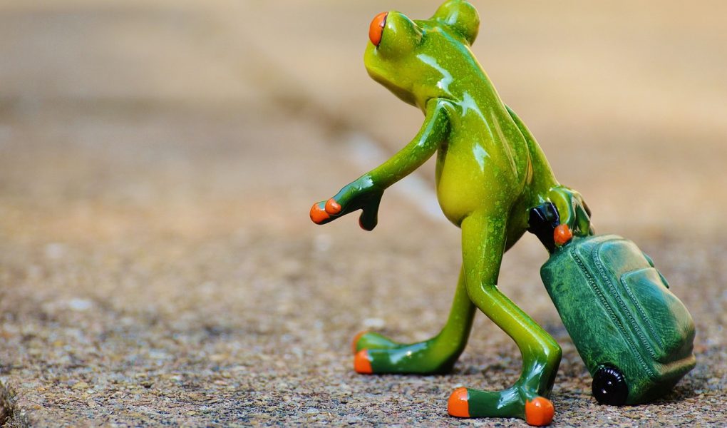 découvrez nos conseils, guides et astuces pour voyager autour du monde. inspirez-vous pour organiser votre prochain voyage, trouver les meilleures destinations et profiter pleinement de chaque aventure.