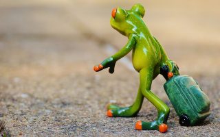 découvrez nos conseils, guides et astuces pour voyager autour du monde. inspirez-vous pour organiser votre prochain voyage, trouver les meilleures destinations et profiter pleinement de chaque aventure.