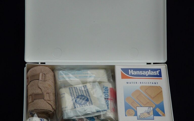 découvrez l'essentiel des premiers secours : conseils pratiques, gestes qui sauvent et recommandations pour réagir efficacement en cas d'urgence. protégez-vous et aidez les autres grâce à nos ressources dédiées aux premiers soins.