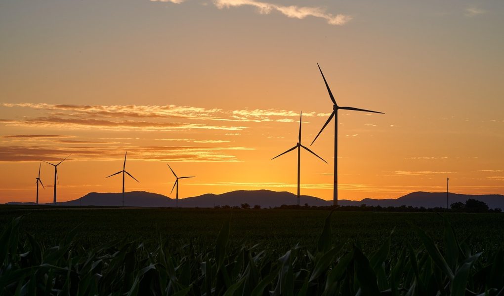 découvrez comment voyager de manière responsable avec nos conseils et astuces pour un tourisme durable. optez pour des destinations éco-responsables et réduisez votre impact environnemental lors de vos prochaines aventures.