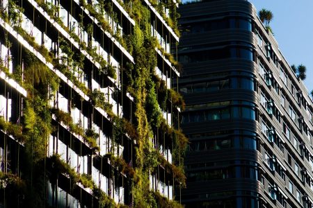 découvrez le tourisme durable : adoptez des pratiques respectueuses de l’environnement, soutenez les communautés locales et voyagez de façon responsable pour préserver les destinations pour les générations futures.