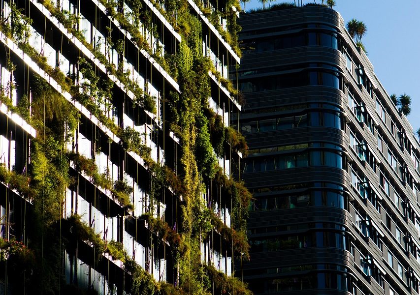 découvrez le tourisme durable : adoptez des pratiques respectueuses de l’environnement, soutenez les communautés locales et voyagez de façon responsable pour préserver les destinations pour les générations futures.