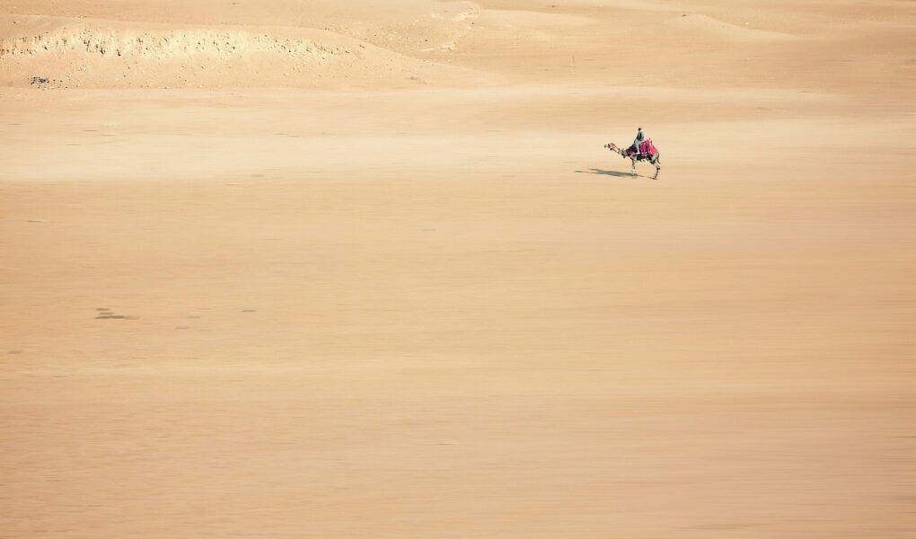 découvrez des aventures palpitantes à travers des histoires captivantes, des conseils de voyage et des expériences inoubliables pour inspirer votre prochaine escapade.