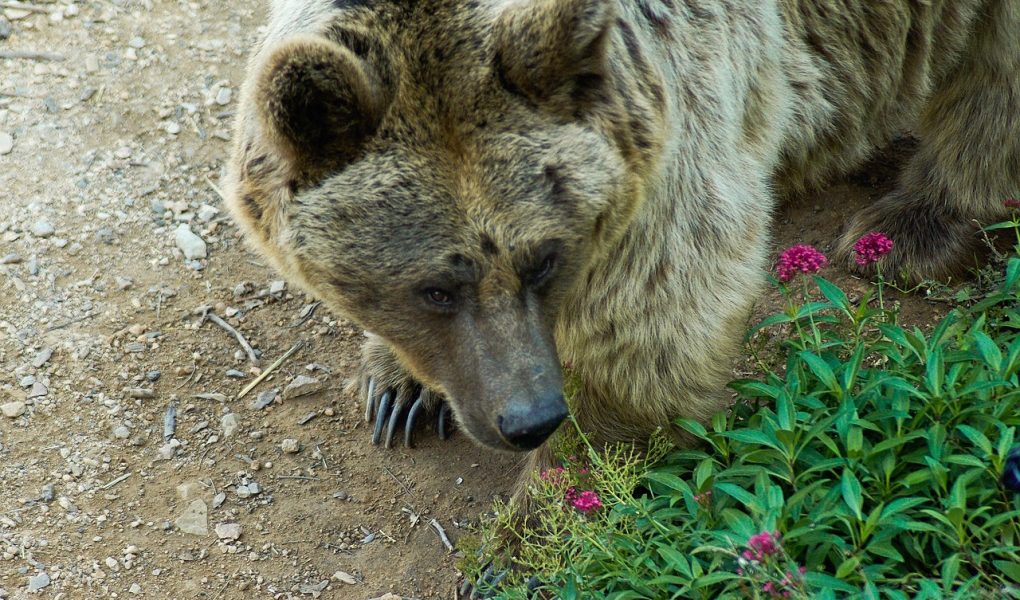 découvrez l'histoire, la culture et l'actualité de la syrie, un pays du moyen-orient riche en patrimoine et en diversité. accédez à des informations précises sur la syrie, sa géographie, sa population et ses traditions.