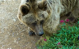 découvrez l'histoire, la culture et l'actualité de la syrie, un pays du moyen-orient riche en patrimoine et en diversité. accédez à des informations précises sur la syrie, sa géographie, sa population et ses traditions.