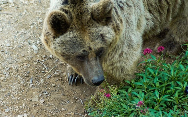 découvrez l'histoire, la culture et l'actualité de la syrie, un pays du moyen-orient riche en patrimoine et en diversité. accédez à des informations précises sur la syrie, sa géographie, sa population et ses traditions.