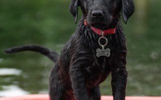 explorez des aventures passionnantes et découvrez de nouveaux horizons à travers des récits captivants, des conseils pratiques et des idées pour vivre des expériences inoubliables.