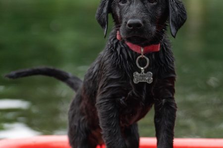 explorez des aventures passionnantes et découvrez de nouveaux horizons à travers des récits captivants, des conseils pratiques et des idées pour vivre des expériences inoubliables.